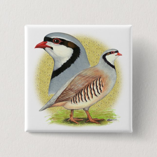 Bóton Quadrado 5.08cm Chukar Partridge Combo (Frente)