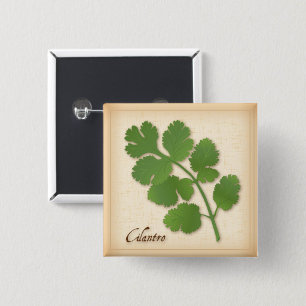 Bóton Quadrado 5.08cm Cilantro Herb