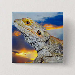 Bóton Quadrado 5.08cm Cinza Lizard no pôr do sol