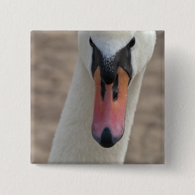 Bóton Quadrado 5.08cm Cisne (Frente)
