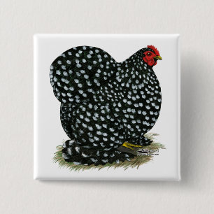 Bóton Quadrado 5.08cm Cochin Mottled Hen