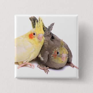 Bóton Quadrado 5.08cm Cockatiels