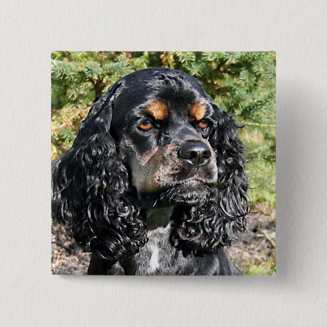 Bóton Quadrado 5.08cm Cocker Spaniel (Frente)