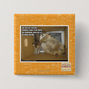 Bóton Quadrado 5.08cm Companheiro de quarto gordo