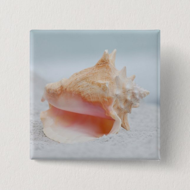 Bóton Quadrado 5.08cm Conch Shell (Frente)