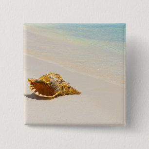 Bóton Quadrado 5.08cm Conch Shell na praia 3