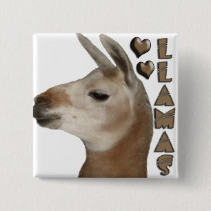 BÓTON QUADRADO 5.08CM CORAÇÕES DO AMOR DOS LAMAS