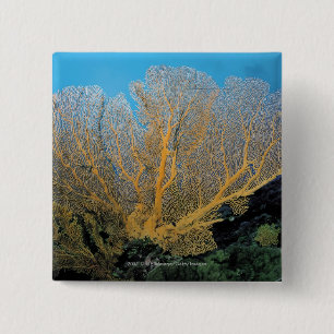 Bóton Quadrado 5.08cm Coral de Gorgonian