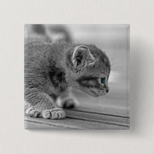 Bóton Quadrado 5.08cm Crouching Kitten