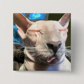 Bóton Quadrado 5.08cm Cubo de gelo mau