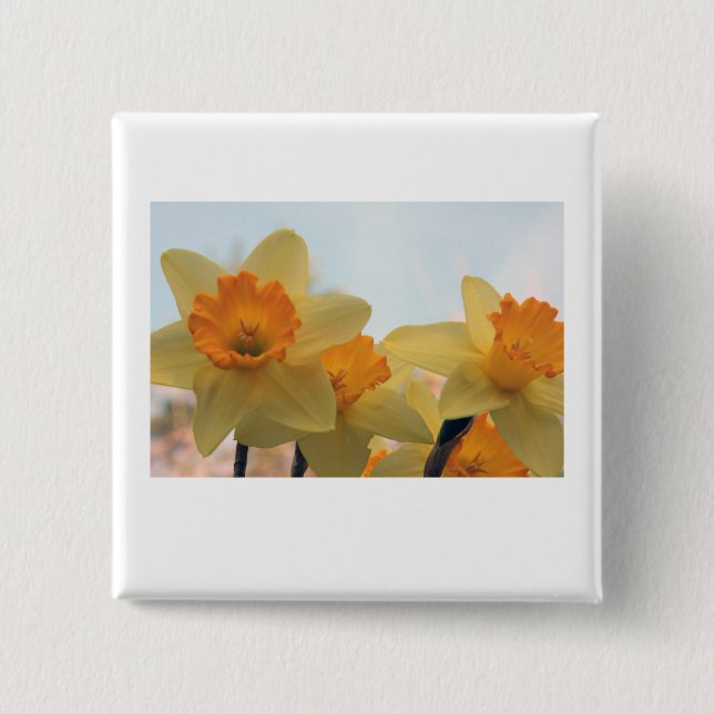 Bóton Quadrado 5.08cm Daffodills (Frente)