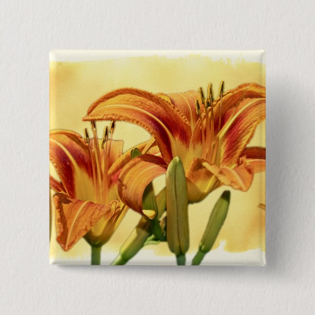 Bóton Quadrado 5.08cm Dayllírios - Hemerocallis (Frente)