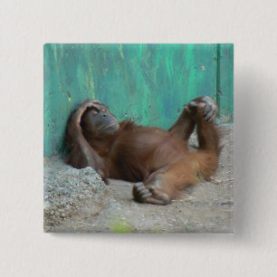 Bóton Quadrado 5.08cm Descanso do orangutang do bebê