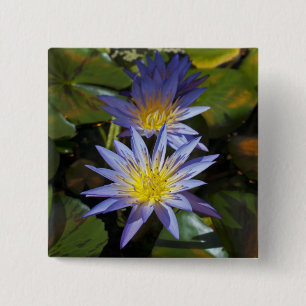 Bóton Quadrado 5.08cm Desenho Botânico Floral de Nenúfar Tropical