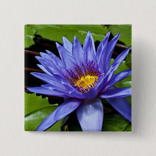 Bóton Quadrado 5.08cm Desenho Botânico Floral de Nenúfar Tropical