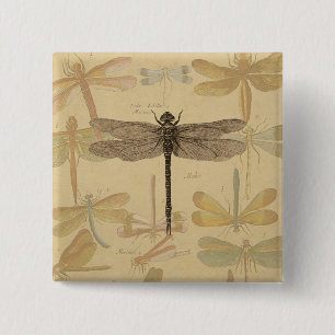 Bóton Quadrado 5.08cm Desenho da libélula venosa