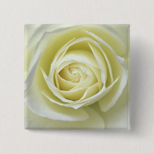 Bóton Quadrado 5.08cm Detalhes aproximados de rosa branca