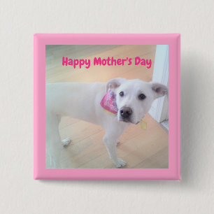 Bóton Quadrado 5.08cm Dia de as mães Cão Cachorro Branco Rosa