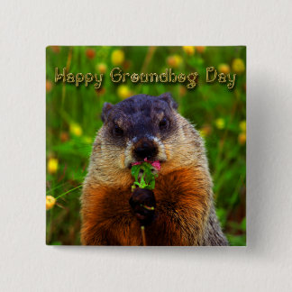 Bóton Quadrado 5.08cm Dia de Groundhog feliz que come a flor