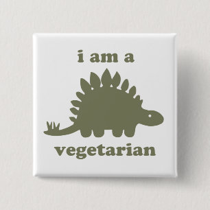 Bóton Quadrado 5.08cm Dinossauro do Stegosaurus do vegetariano - verde