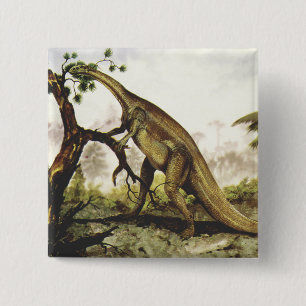 Bóton Quadrado 5.08cm Dinossauros Antigos, Plateossauro Pastando em Árvo