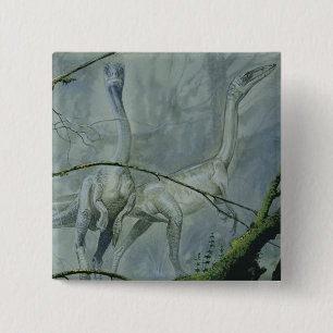 Bóton Quadrado 5.08cm Dinossauros Vintage, Megapnosaurus aka Syntarsus