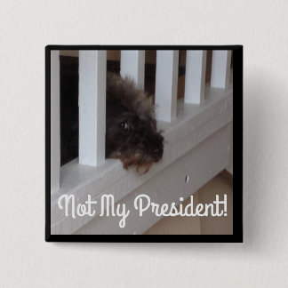 Bóton Quadrado 5.08cm Dizem que os cães podem dizer os bons rapazes do