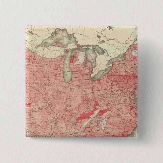 Bóton Quadrado 5.08cm Doenças Intestinais Mortes nos EUA (Frente)