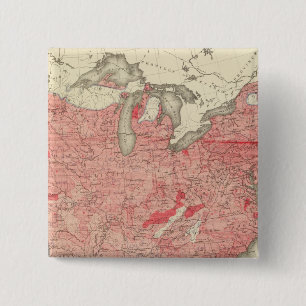 Bóton Quadrado 5.08cm Doenças Intestinais Mortes nos EUA