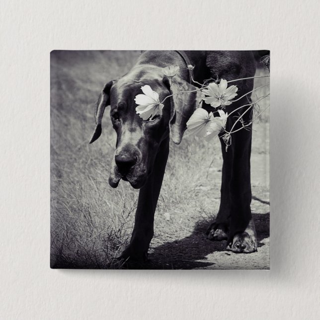 Bóton Quadrado 5.08cm Dogge Balu (Frente)