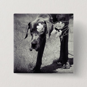 Bóton Quadrado 5.08cm Dogge Balu