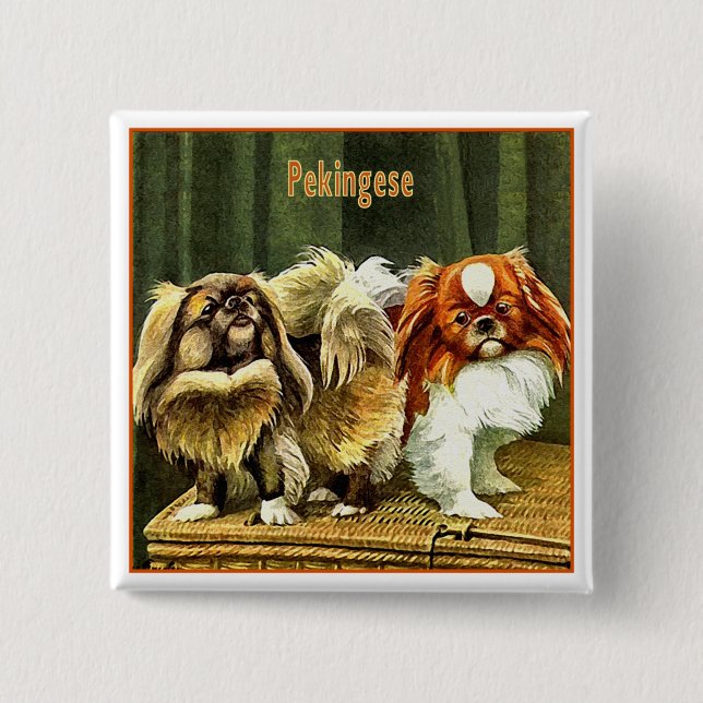 Bóton Quadrado 5.08cm Dois Cães Pekingeses (Frente)
