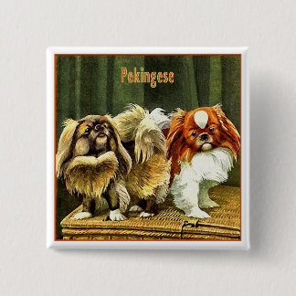Bóton Quadrado 5.08cm Dois Cães Pekingeses