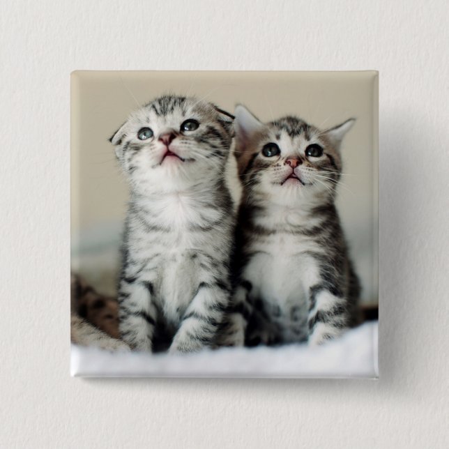 Bóton Quadrado 5.08cm Dois gatinhos bonitos (Frente)