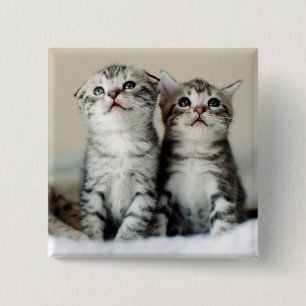 Bóton Quadrado 5.08cm Dois gatinhos bonitos