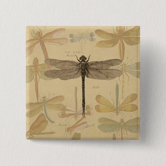 Bóton Quadrado 5.08cm Dragonfly Vintage Desenho Clássico Antiquado (Frente)