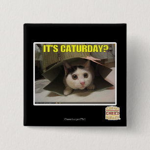 Bóton Quadrado 5.08cm É Caturday?