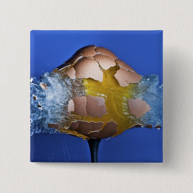 Bóton Quadrado 5.08cm Eggceptional (Frente)