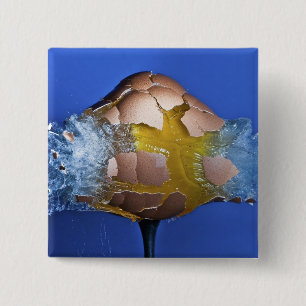 Bóton Quadrado 5.08cm Eggceptional