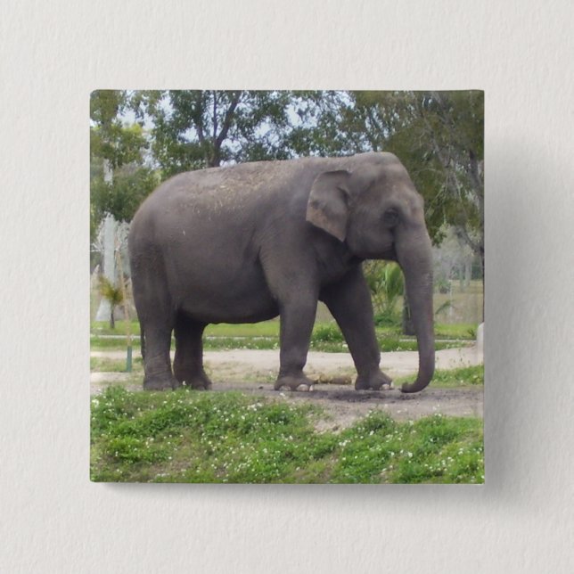 Bóton Quadrado 5.08cm Elefante em Caminho Suave de Bosque (Frente)