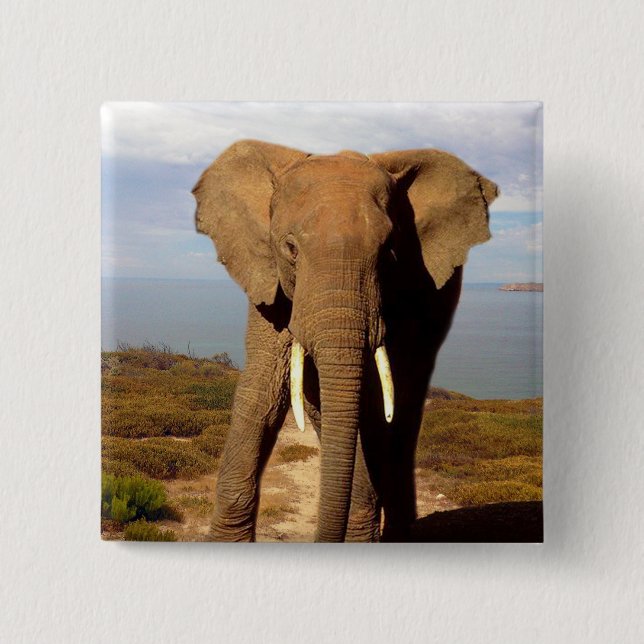 Bóton Quadrado 5.08cm Elephant Beach Day Outing, (Frente)