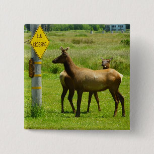 Bóton Quadrado 5.08cm Elk Crossing California Wildlife