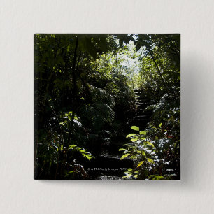Bóton Quadrado 5.08cm Escadaria/passeio rústicos na floresta, luz solar