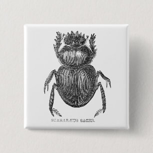 Bóton Quadrado 5.08cm Escaravelho escaravelho caneta e desenho a tinta