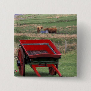 Bóton Quadrado 5.08cm Escócia, Ilha de Skye, Kilmuir. Animais de fazenda