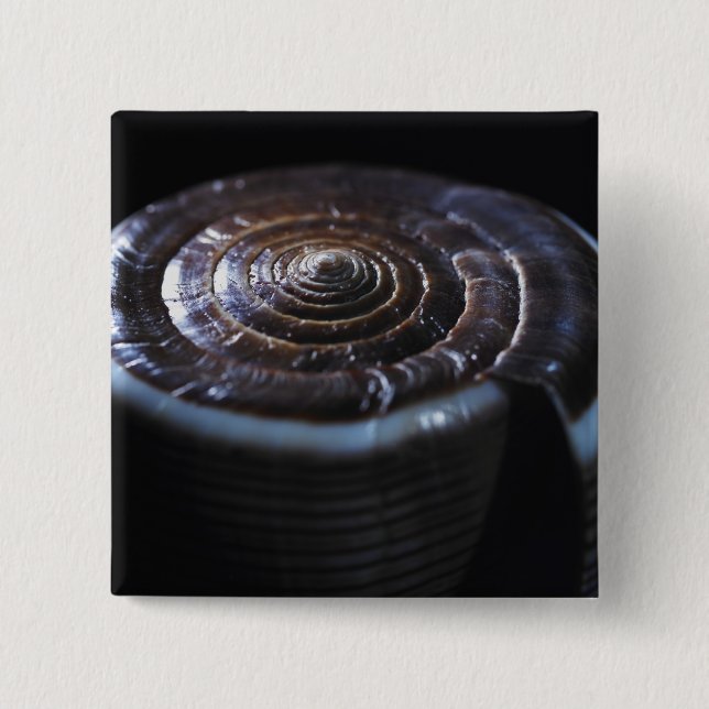 Bóton Quadrado 5.08cm Escudo do cone (Frente)