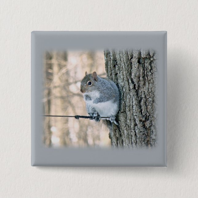 Bóton Quadrado 5.08cm Esquilo cinza - Sciurus carolinensis (Frente)