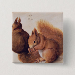 Bóton Quadrado 5.08cm Esquilos, 1512