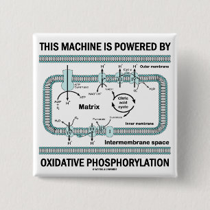 Bóton Quadrado 5.08cm Esta máquina psta pela fosforilação oxidativo