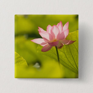 Bóton Quadrado 5.08cm Estados Unidos, DC, Washington, Kenilworth 2